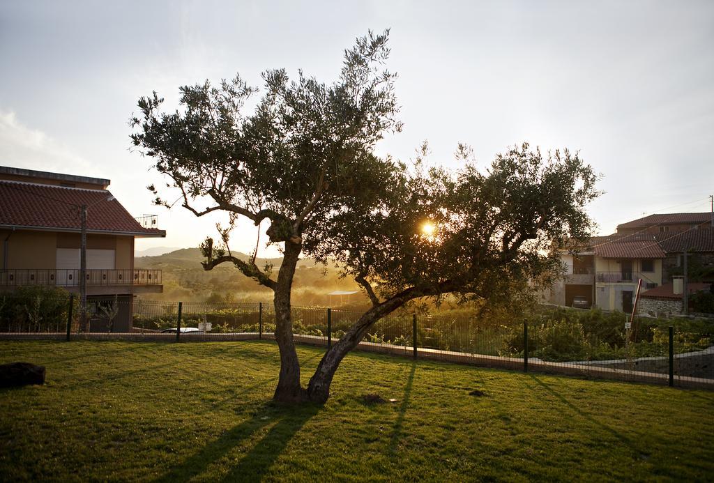 فيلا Casas De Vale De Lobo ميرانديلا المظهر الخارجي الصورة